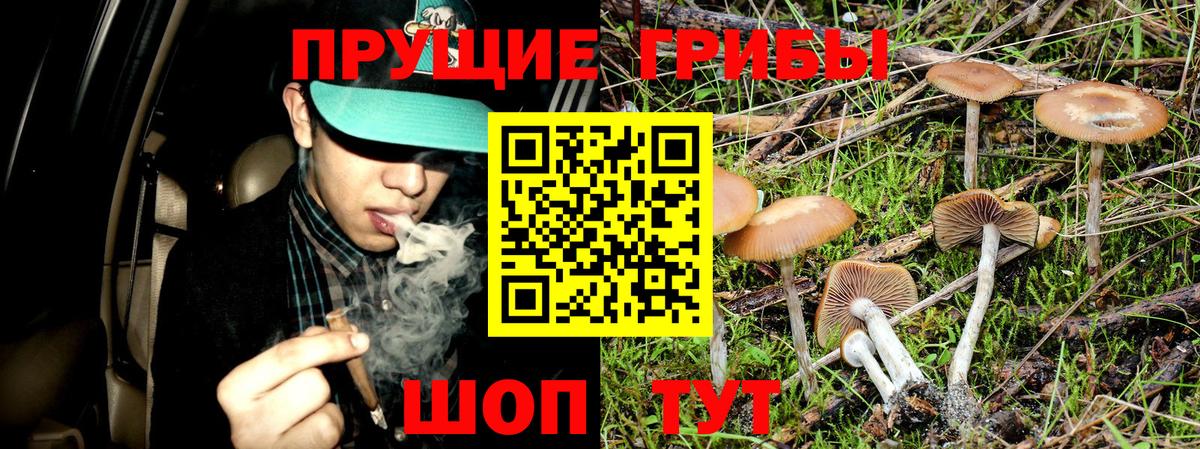 Псилоцибиновые грибы ЛСД  Вход с VPN  Псилоцибиновые грибы ЛСД  Джанкой 