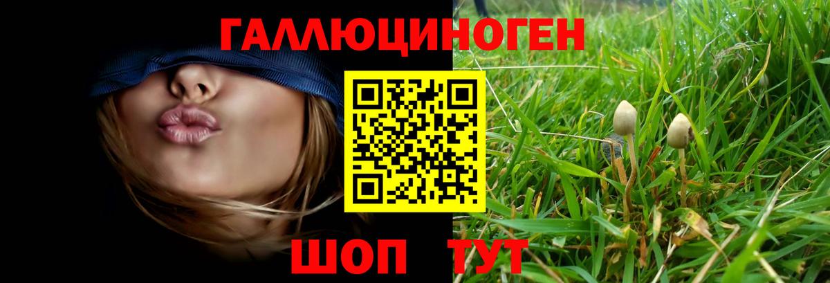 Псилоцибиновые грибы Psilocybe Джанкой
